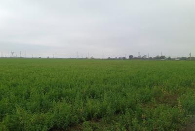 Teren de casa 500mp in Brasov Teren de casa 500mp in Brasov - 1