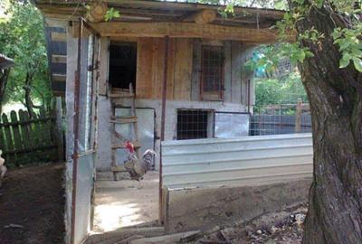 Casa de vanzare ?opotul Nou Casa de vanzare ?opotul Nou - 3