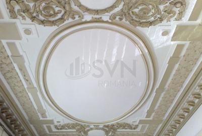 Vila deosebita Lascar Catargiu gradina mare Vila deosebita Lascar Catargiu gradina mare - 2