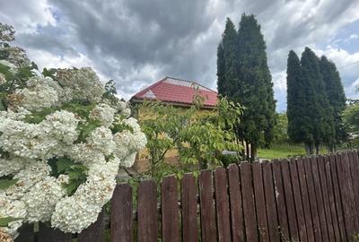 VAND  3120 MP TEREN CU CASUTA , SURDESTI BREAZA - 8