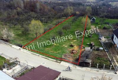 Teren de vanzare in comuna Valea Iasului, sat Cerbureni, jude? Arge?. - 2