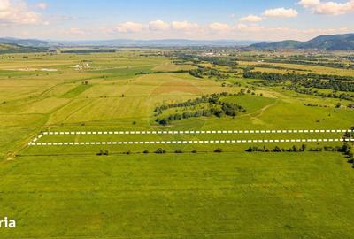 Spațiu comercial, în Tohanu Nou - 4