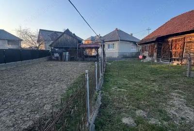 Casă cu Teren 4000 Mp în Central - 1