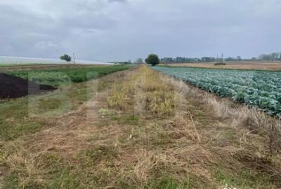 Teren de 4700 mp, în Central