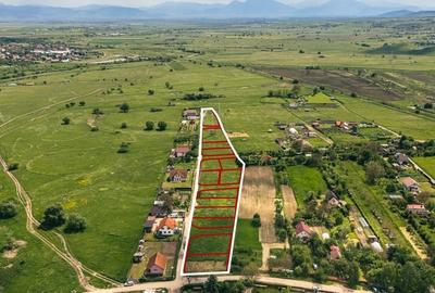 Teren Construcții intravilan de 10000 mp, în Central - 2