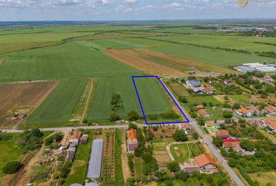 Teren agricol intravilan de 6400 mp, în Miniș - 1