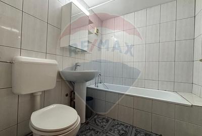 4 camere de vanzare TEIUL DOAMNEI zona verde-linistita, bloc anvelopat - 20