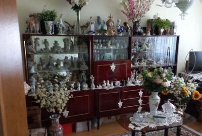 Apartament cu 2 camere decomandat în Prundu - 4