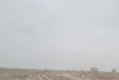 Teren de 20000 mp, în Valea Rumâneștilor - 7