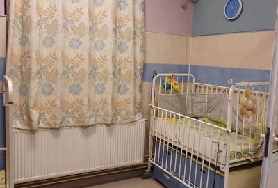 Casă individuală cu 12 camere cu Canalizare în Ștefan cel Mare - 12