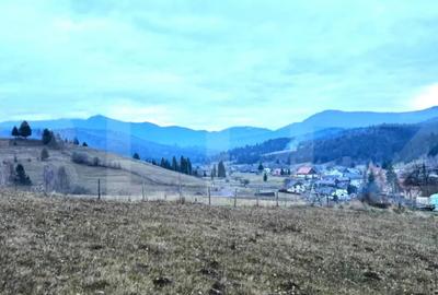 Teren de 2500 mp, în Colibița - 5