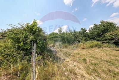 Teren cu priveliste superba in Vulcan - 7