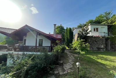 Cabana/Vila de inchiriat Luncani, 8 Km de Bacau - 3