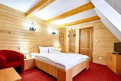 Pensiune traditionala cu clientela formata, Viseu de Sus, Ma - 8