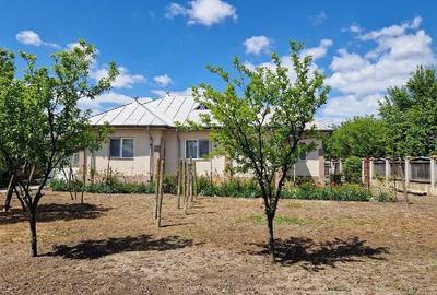 Casă cu Teren 1045 Mp în Ciorani - 4