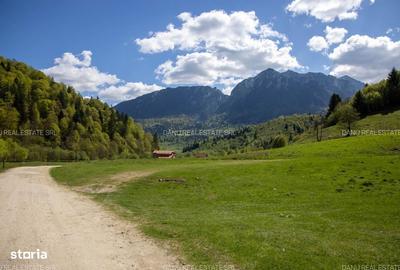 Spațiu comercial, în Central - 12
