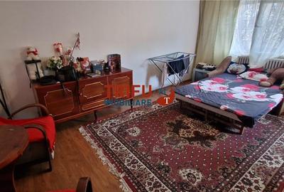 Apartament 2 camere de vanzare zona Mercur - 4