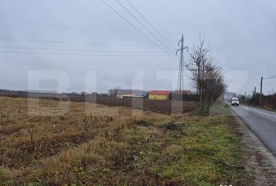 Teren de 2500 mp, în Sud - 1