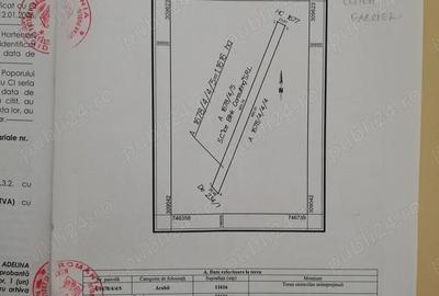 Teren de 11616 mp, în Ivrinezu Mare - 3
