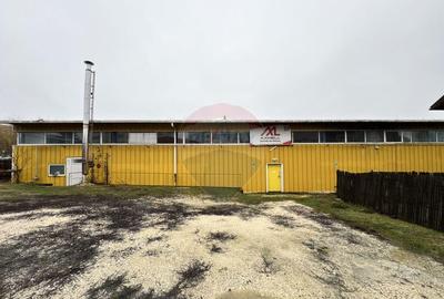 Spa?iu industrial de vanzare in zona Nord-Vest a Camp... - 3