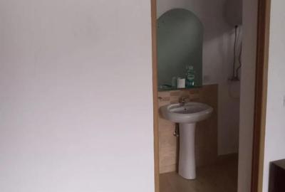 Casă cu 2 camere în Chistag - 7