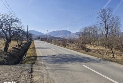 Teren de 2214 mp, în Vălișoara - 4