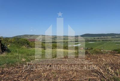 Teren Construcții intravilan de 1000 mp, în Micești - 1