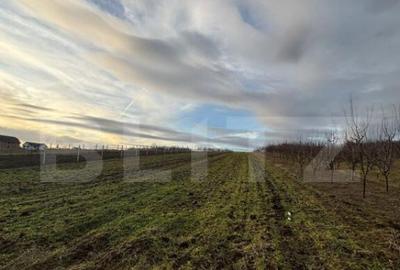 Teren intravilan 33 ari, Simleu Silvaniei - 2