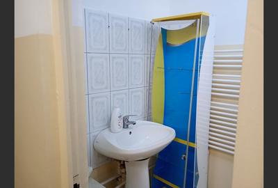 SPATIU COMERCIAL MAZEPA - 5