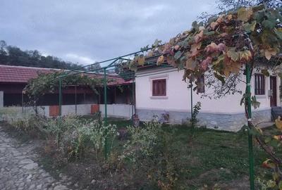 Teren de 6800 mp, în Polovragi - 9