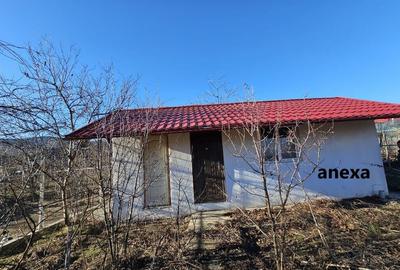 Casa constructie la rosu 2018 ---Bca in NICULITEL - 8