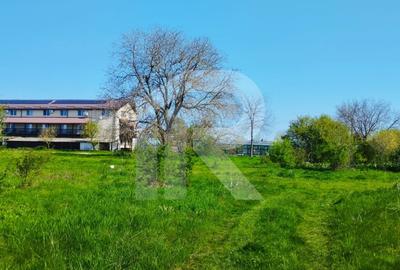 Teren Construcții intravilan de 10000 mp, în Grădiștea - 13