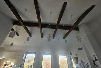 O Casa de Vis in Garcina Rasfa? in Natura! - 4