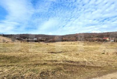 Teren în Florești - 1