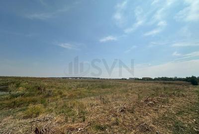 Teren langa Lemon Retail Park I Voluntari I A3