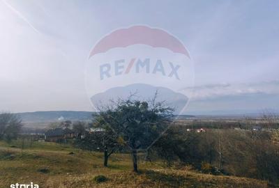 Teren de 3206 mp, în Remetea Chioarului - 3