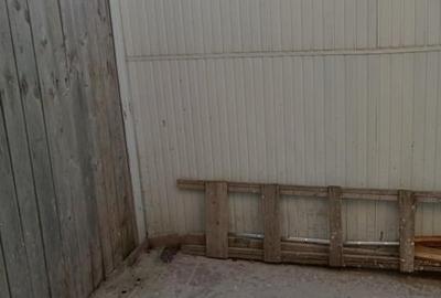 Duplex cu 3 camere cu Teren 5 Mp în Traian - 4