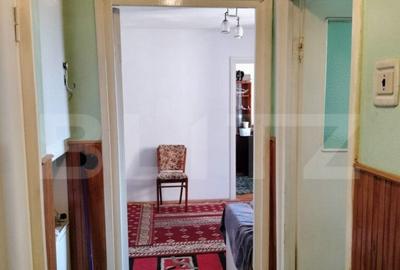 Apartament cu 2 camere semidecomandat, mobilat în Mureșeni - 3