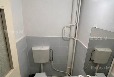 Apartament cu 3 camere decomandat, mobilat în Tătărași - 7