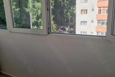 Apartament cu 2 camere decomandat în Silva - 1