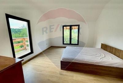 DE VANZARE Casa / Vila de vacanta in Campulung Muscel - 11