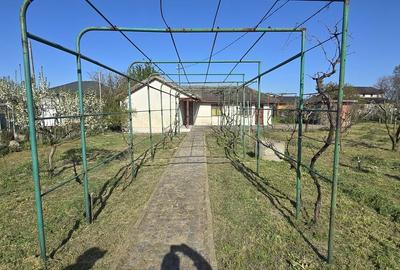 Casă cu 4 camere cu Teren 1917 Mp în Corbu - 2