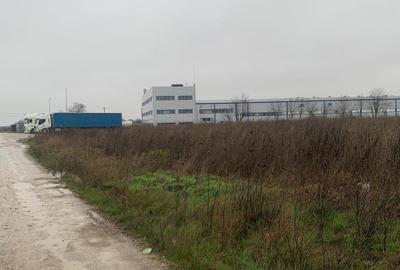 DJ200  Dascalu  Vanzare Suprafata Compacta 4,4 HA Teren Intravilan Mixt - 5