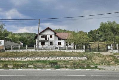 Casă cu Teren 3850 Mp în Prajila - 2