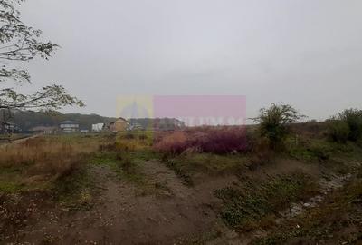 Teren în Corbeanca - 6