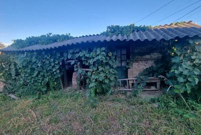 Teren intravilan , 1100mp , front 12,60 m , intrare Filiasi - 4