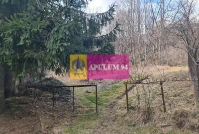 Teren de vânzare în Sinaia - Platou Izvor - 12