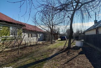 Casă cu 5 camere cu Teren 1238 Mp în Florica - 12