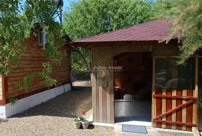 COMPLEX 5 CABANE DIN LEMN CU ACCES LA DUNARE + teren in Podul Gornei, jud. CS - 13