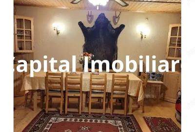 Proprietate Unica in Inima Naturii Galaoaia, Mure? - 8